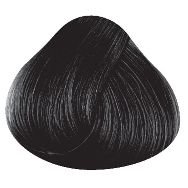 Directions Ebony semi permanent hårfarge La Riche 100ml RiffRaff.no